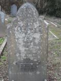 image of grave number 295035